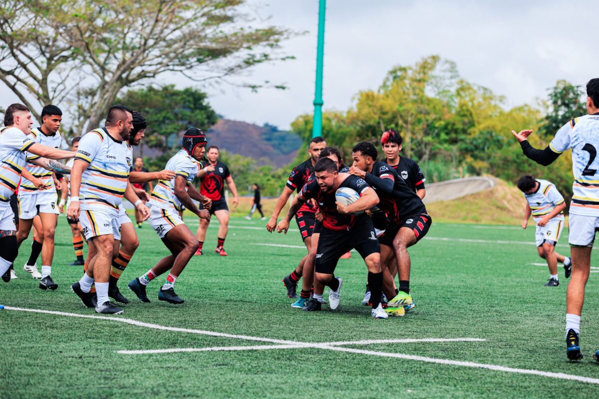 rugby damian penaud type révélation change