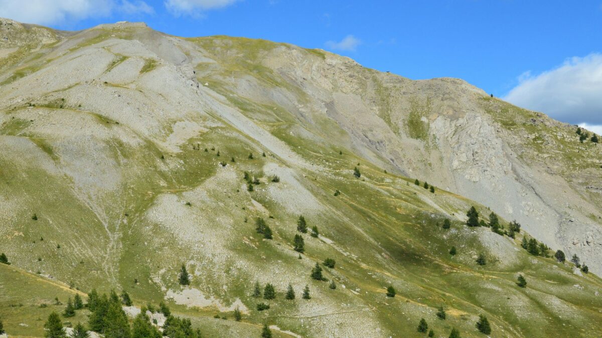 accrochage alpine bakou rend relances